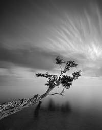 Picture for Monthly Coaching package